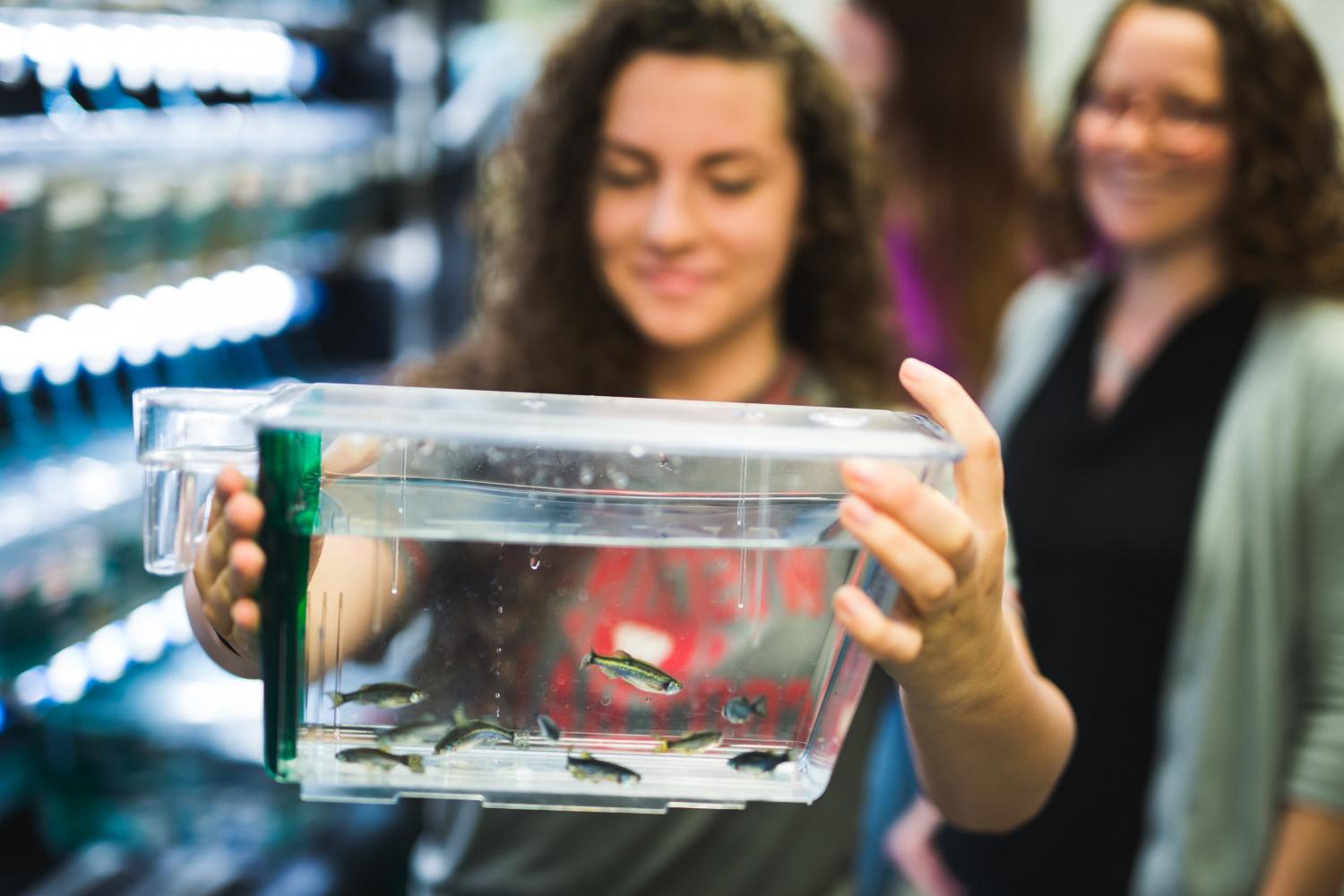 A Carthage student studies zebrafish under the guidance of 教授. 安德里亚·亨利.